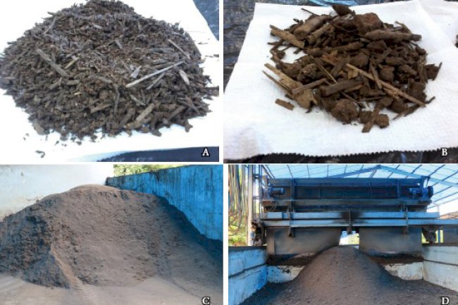 Entender a matéria orgânica do solo em ambientes tropical e subtropical ajuda a aumentar a produtividade agrícola e combater as mudanças climáticas