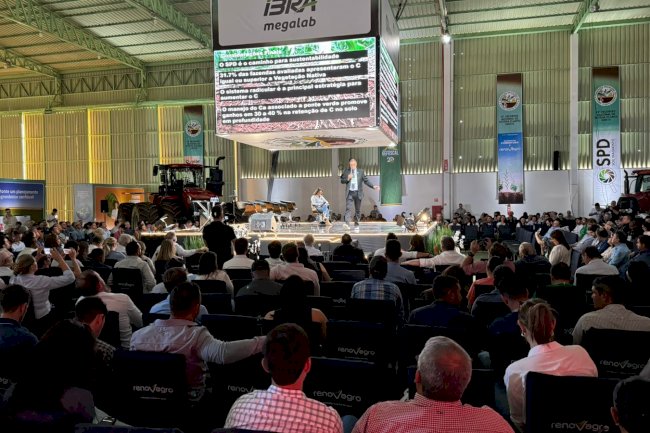 19º ENSPD: expectativas superadas