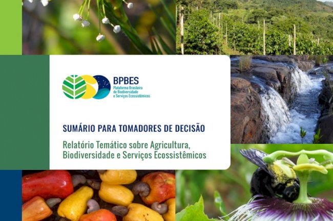 Publicação mostra meios de integrar conservação ambiental e produção rural