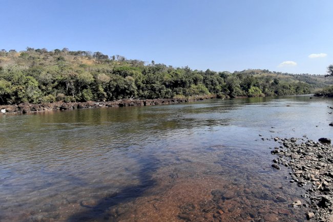 Mata ciliar aumenta 12% no Paraná com proteção de nascentes e plantio de mudas