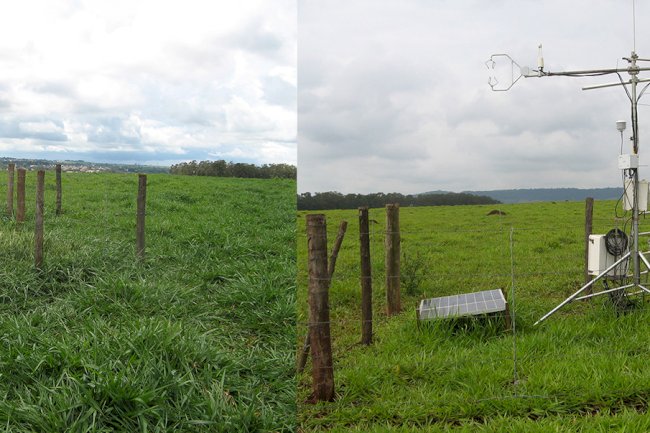 Estudo revela desafios e oportunidades na recuperação de pastagens no Sudeste