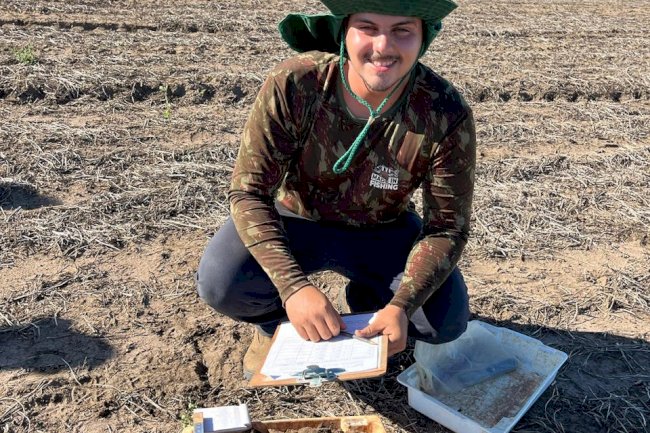 Estudo revela diferenças na estrutura do solo em SPD e PD