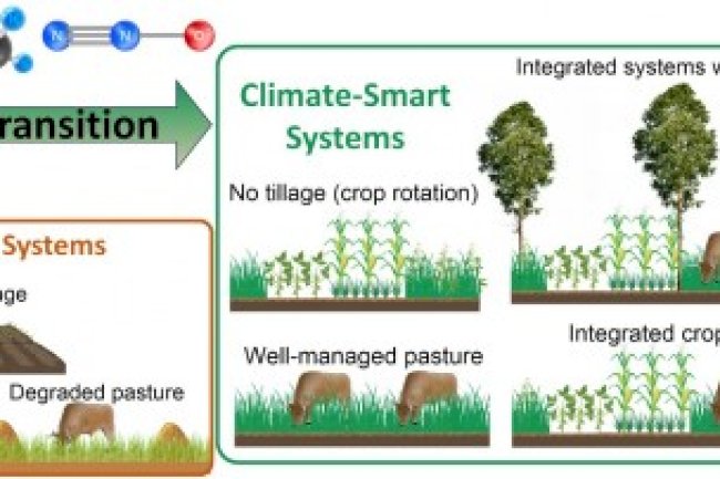 Sistemas agropecuários sustentáveis ajudam a reduzir as emissões de gases de efeito estufa