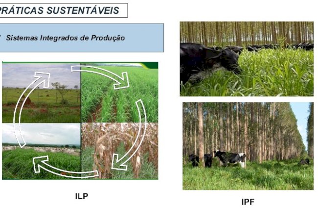 Tecnologias inovadoras favorecem qualidade dos sistemas intensificados de produção