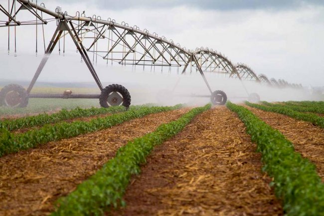 Programa de irrigação no campo terá juros subsidiados no Paraná