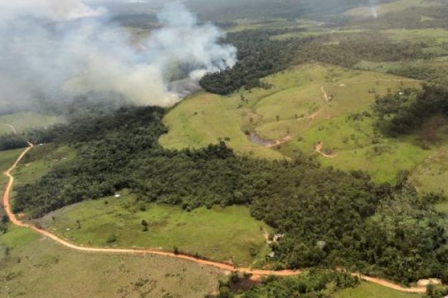 Diretrizes técnicas para a prevenção de incêndios em áreas com o Sistema Plantio Direto