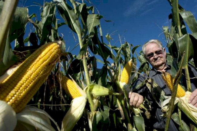 As novas lições do agricultor que ensinou o Brasil a plantar