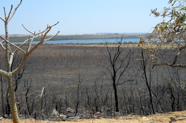 Recursos hídricos, queimadas e cinzas: a urgência do necessário equilíbrio na busca pela sustentabilidade ambiental