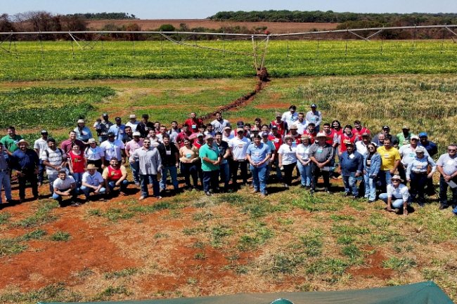 Embrapa Arroz e Feijão e IF Goiano promovem agricultura sustentável no Cerrado