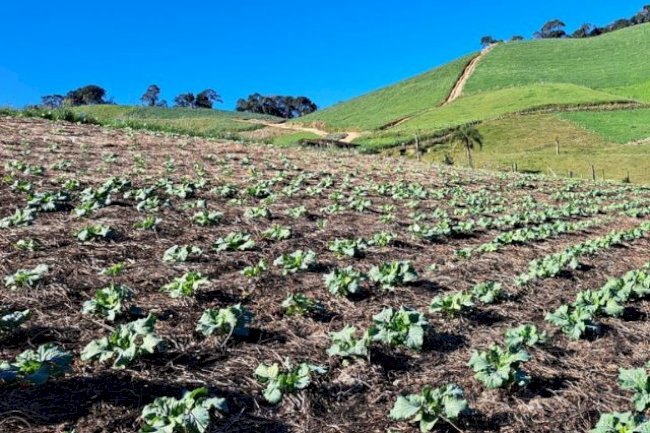 São Miguel do Oeste comemora o Dia Nacional do Plantio Direto