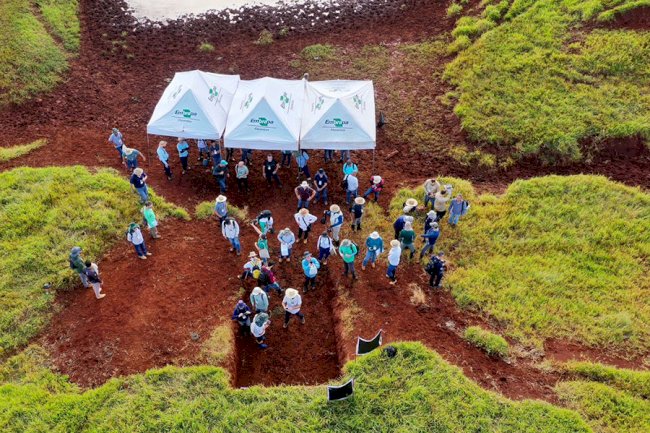Estudo aponta perda de nascentes e assoreamento de rios em áreas rurais do Paraná
