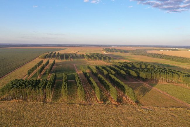 Chamada pública possibilita parcerias em pesquisas com agropecuária regenerativa