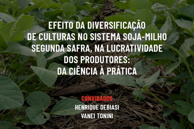 Live ILPF desta quarta fala sobre como é possível aumentar em até 11% receita líquida na soja