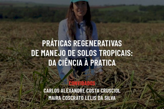 Na live desta quarta: práticas regenerativas de manejo de solos tropicais