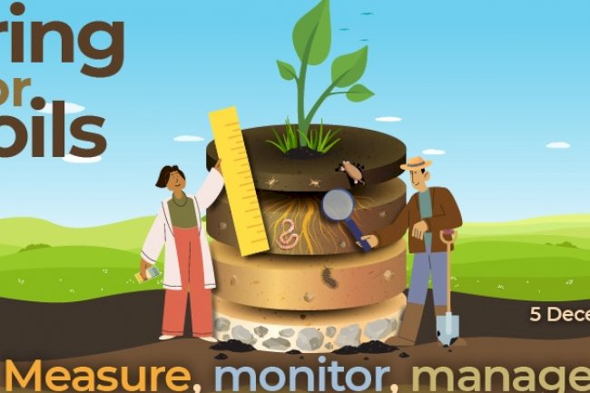 Analisar o solo para conhecer, manejar e preservar