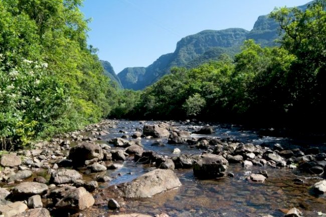 Hotsite da Epagri/Ciram apoia regularização ambiental de propriedades rurais catarinenses