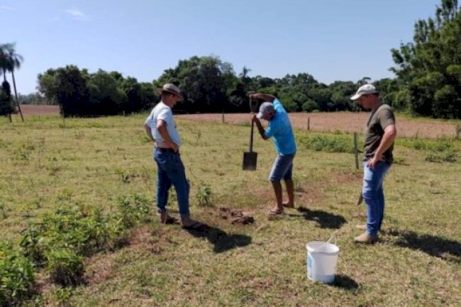 Adubação racional é destaque nas técnicas de manejo de solo