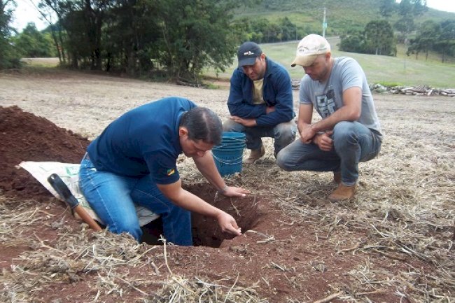 Captura de carbono no solo tem papel de destaque na agroindústria familiar