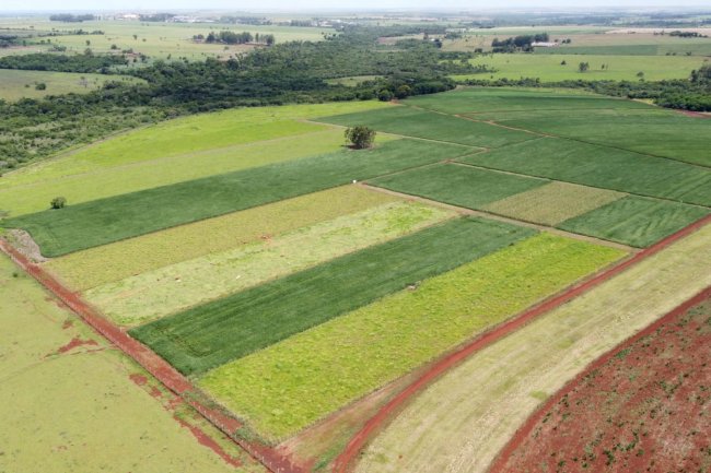 Embrapa Agropecuária Oeste comemora 30 anos de experimento em ILP e SPD