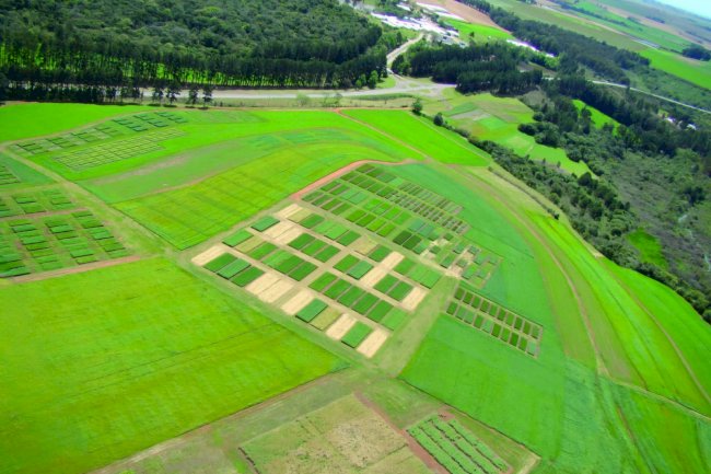 Evento para discutir mudanças na adubação de sistemas no RS e SC
