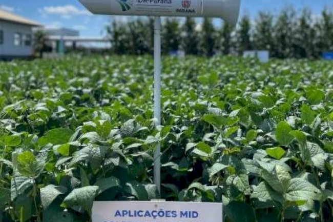 Sustentabilidade é a tônica na área de produção de grãos no Show Rural