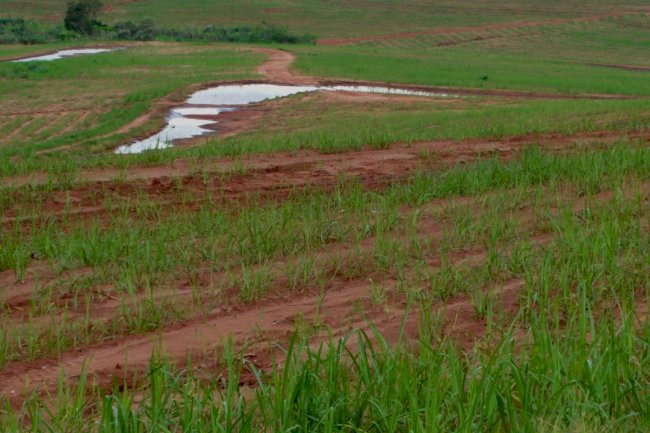 A distribuição equitativa da água como fundamento básico da agricultura regenerativa