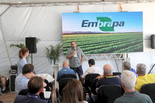 Manejo e Inovação: especialistas apontam caminhos para melhorar a qualidade do solo no Pampa