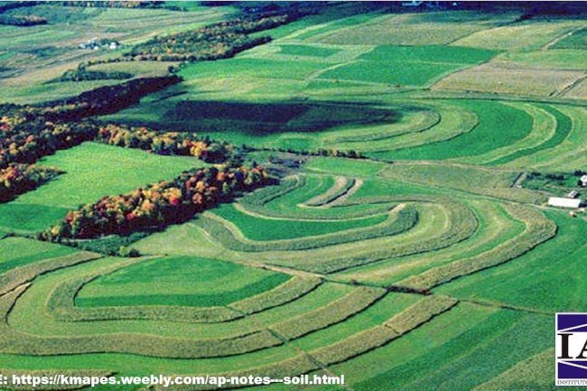 Onde começa a Agricultura Regenerativa