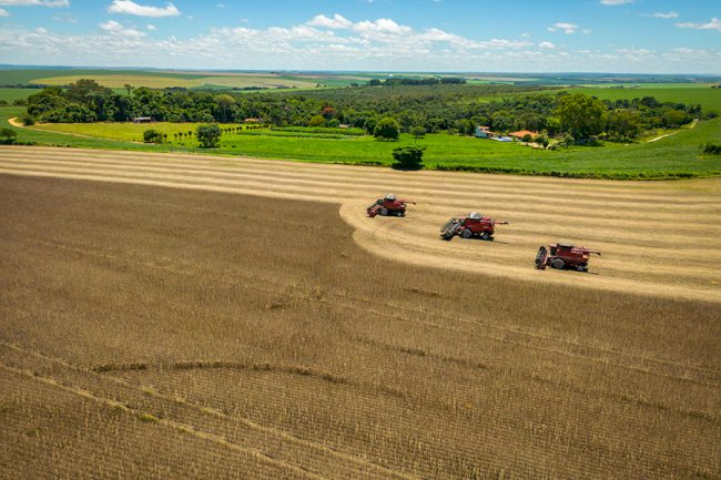 Emissões de carbono na agricultura brasileira são estimadas em 11,54 dólares por tonelada