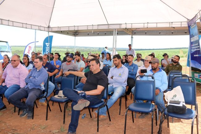 Três Marias, MG, avança na produção sustentável de grãos com foco em colheita, armazenagem e segunda safra