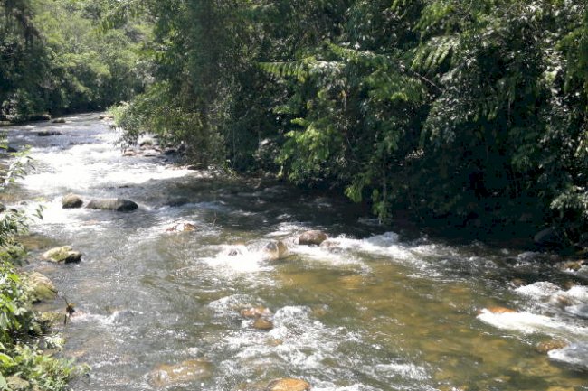 Tecnologia e os estresses da água e da temperatura no campo