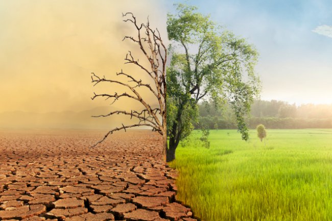 Artigo sobre a Semana de conscientização sobre mudanças climáticas: hora de parar e refletir