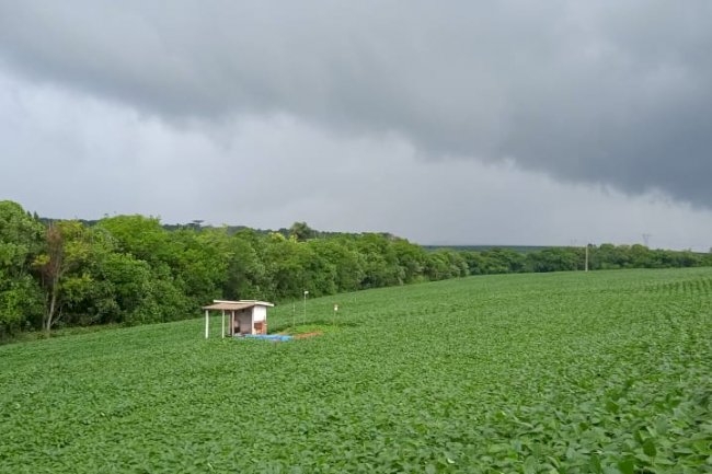 Novo livro reforça papel da pesquisa no combate à degradação do solo
