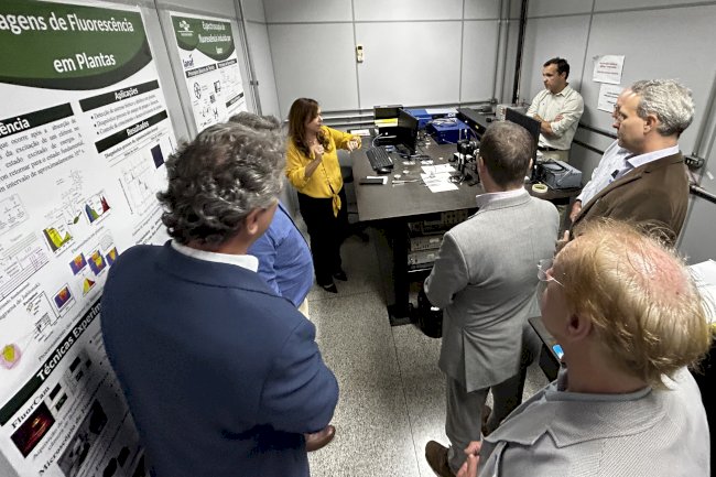 Tecnologia com laser vai medir carbono em projeto de pecuária sustentável