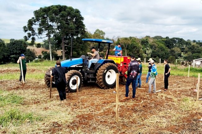 Iniciativa municipal estimula uso de plantas de cobertura no interior gaúcho