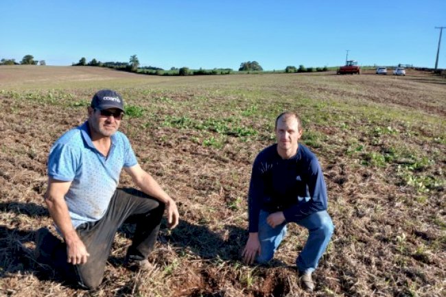 No RS, projeto instala Unidade de Referência Técnica de Solos