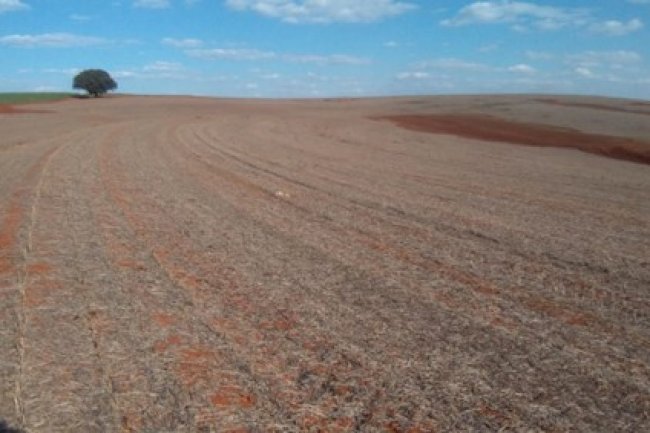 Fatores de ameaça à degradação de ambientes agrícolas no Sistema Plantio Direto