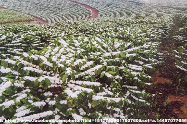 A fruição da agricultura