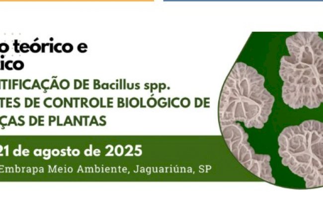 Curso capacita profissionais na quantificação de Bacillus usados no controle biológico de pragas agrícolas