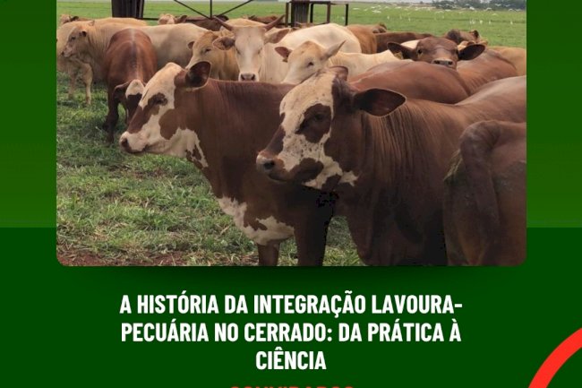 Live reúne pioneiros da ILP para debater evolução do sistema no Cerrado