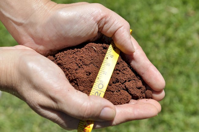 Embrapa propõe ação conjunta entre especialistas de mais de 20 países para fortalecer pesquisas de saúde do solo