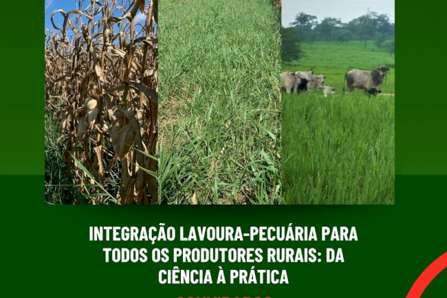 Integração Lavoura-Pecuária para todos