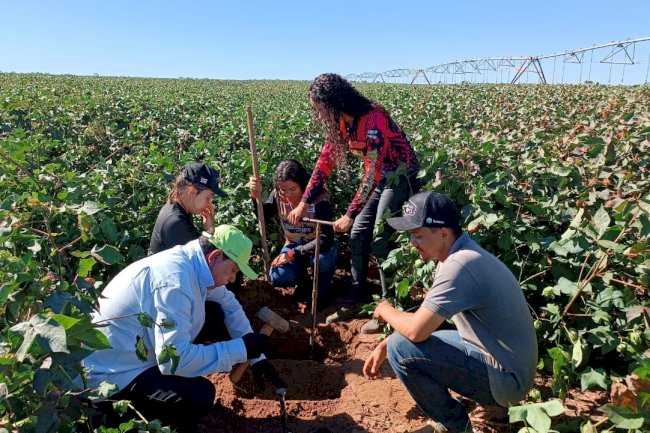 Com apoio da Abapa, projeto coleta 3,6 mil amostras para avaliar carbono no solo