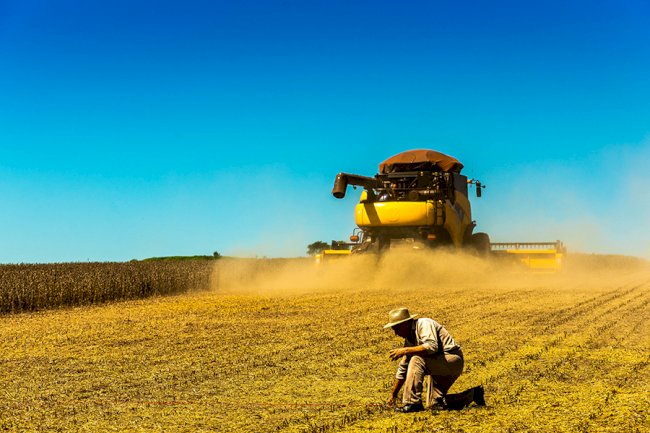 Artigo - A nova métrica da Agricultura