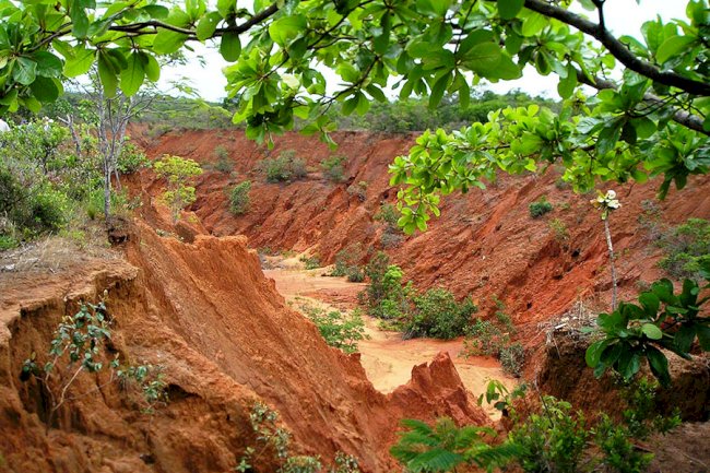 Pesquisadores disponibilizam novo mapa de erodibilidade dos solos do Brasil