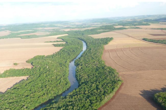 Sistema Plantio Direto: a tecnologia que alavancou o agronegócio brasileiro e garante a sustentabilidade em tempos de mudanças climáticas