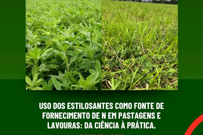 Uso dos estilosantes como fonte de nitrogênio em pastagens e lavouras é tema de live nesta quarta, 13