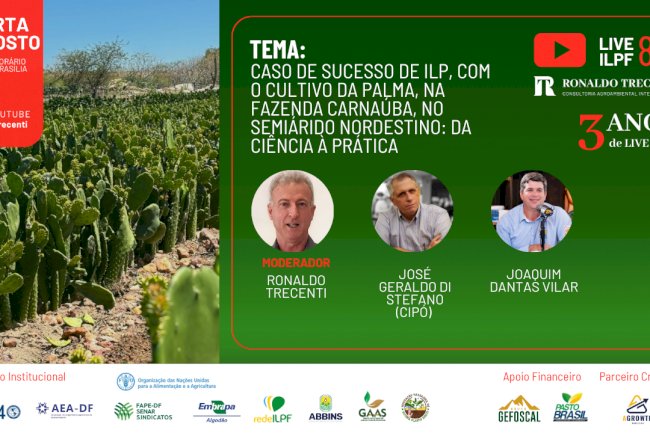 Live ILPF: Manejo Inteligente no Semiárido Nordestino