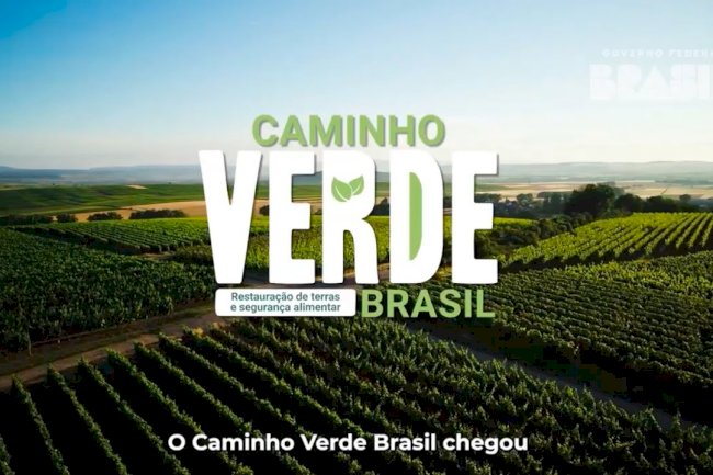 Caminho Verde Brasil como modelo de blended finance