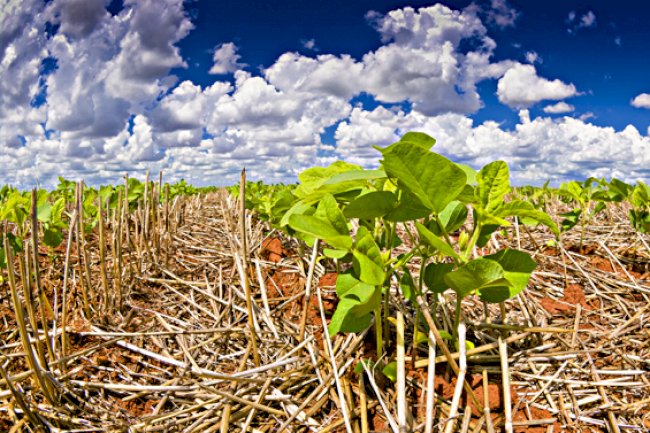 Começa nesta terça, 23, o Congresso Paranaense de Agricultura de Baixa Emissão de Carbono